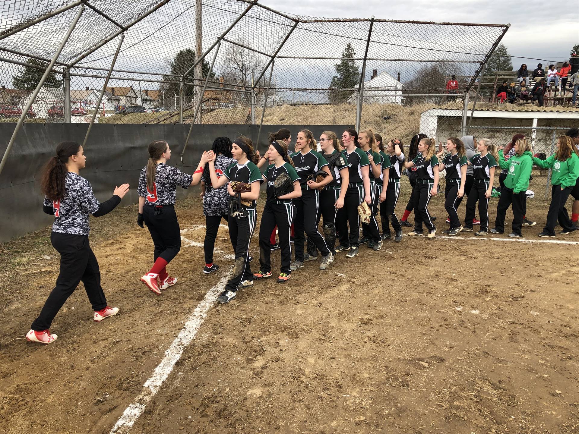 Quip Softball 2019